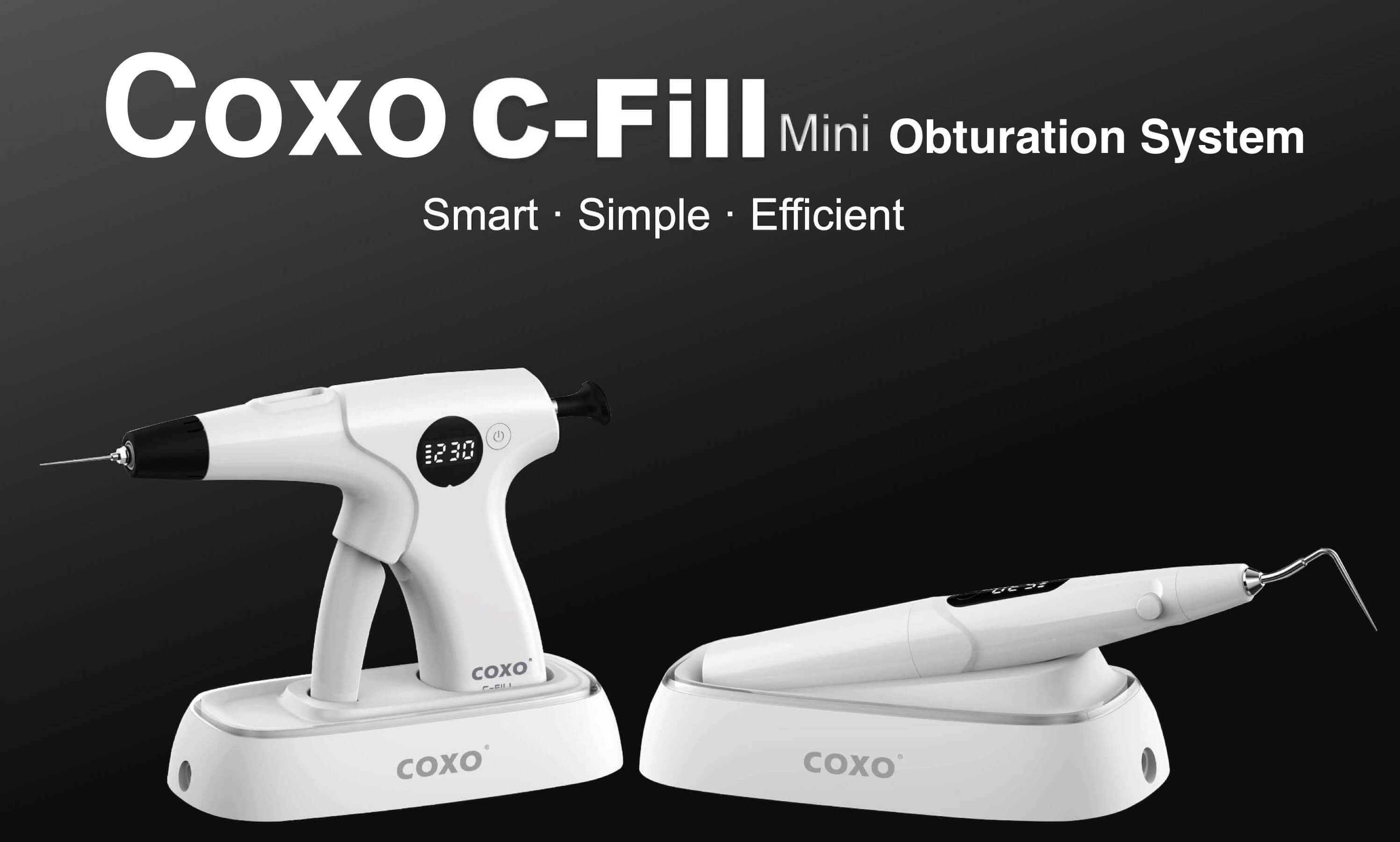 CFILL mini Endodontic obturation system (Pen and Gun) ADAE Dental