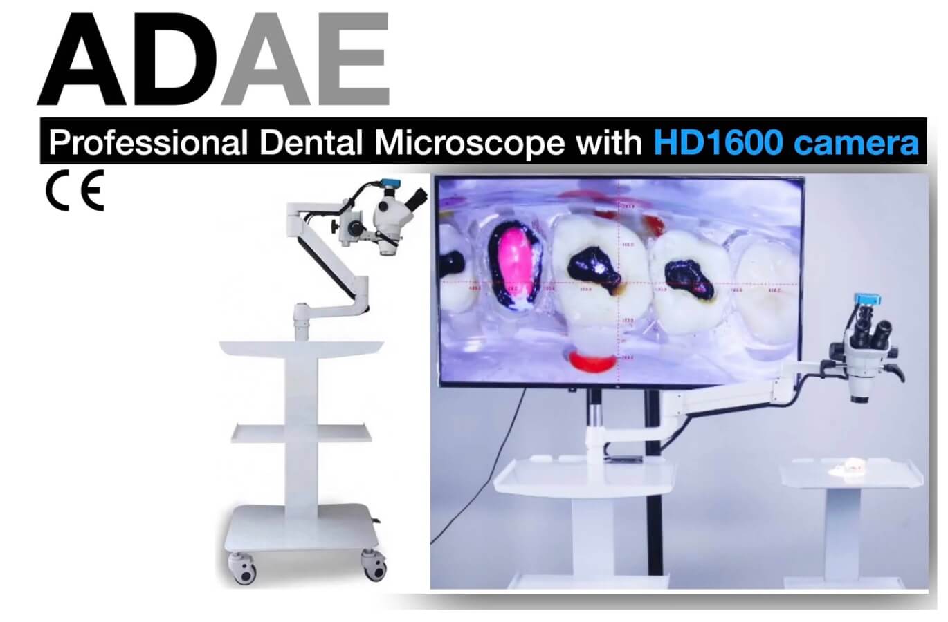 Professional dental microscope