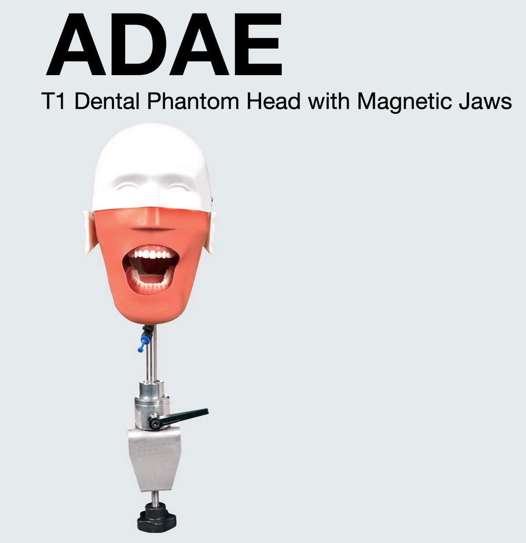 ADAE T1 dental phantom head with magnetic jaws