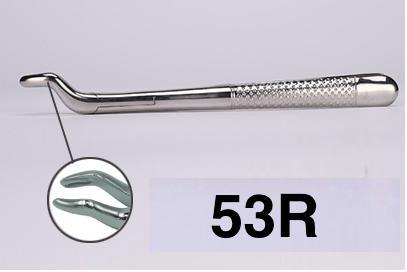 Forceps 53 R 53R dental extraction forceps (2pcs) – ADAE Dental Online Store